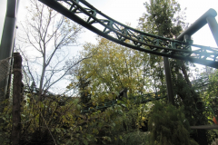 1_IMG_0682