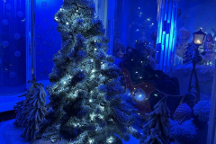 2024-12-05_17-51-48_259