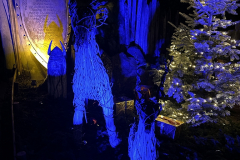 2023-12-08_17-46-25_537