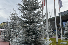 2024-12-05_14-24-32_867