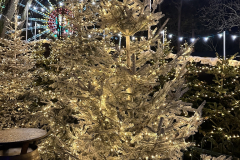 2024-12-05_18-48-50_374