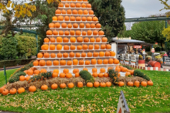 k-20201022_152913