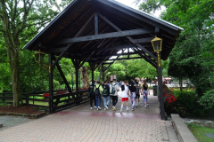 k-DSC02415