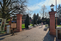 20250325_093205
