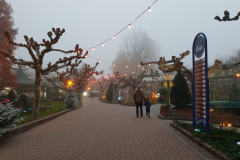 20211111_165156