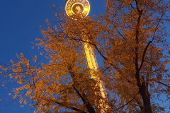 20211025_185012