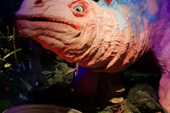 20211025_144629