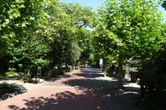 DSC02699